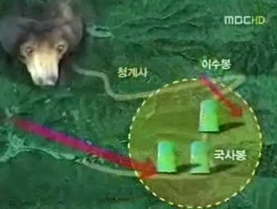 대한민국을 떠들썩하게 한 말레이곰 꼬마_2.webp