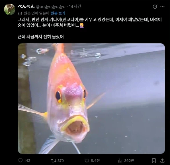 지금까지 물고기 한마리를 키우고 있었는데 알고보니 두마리였음 ㄷㄷ_1.webp
