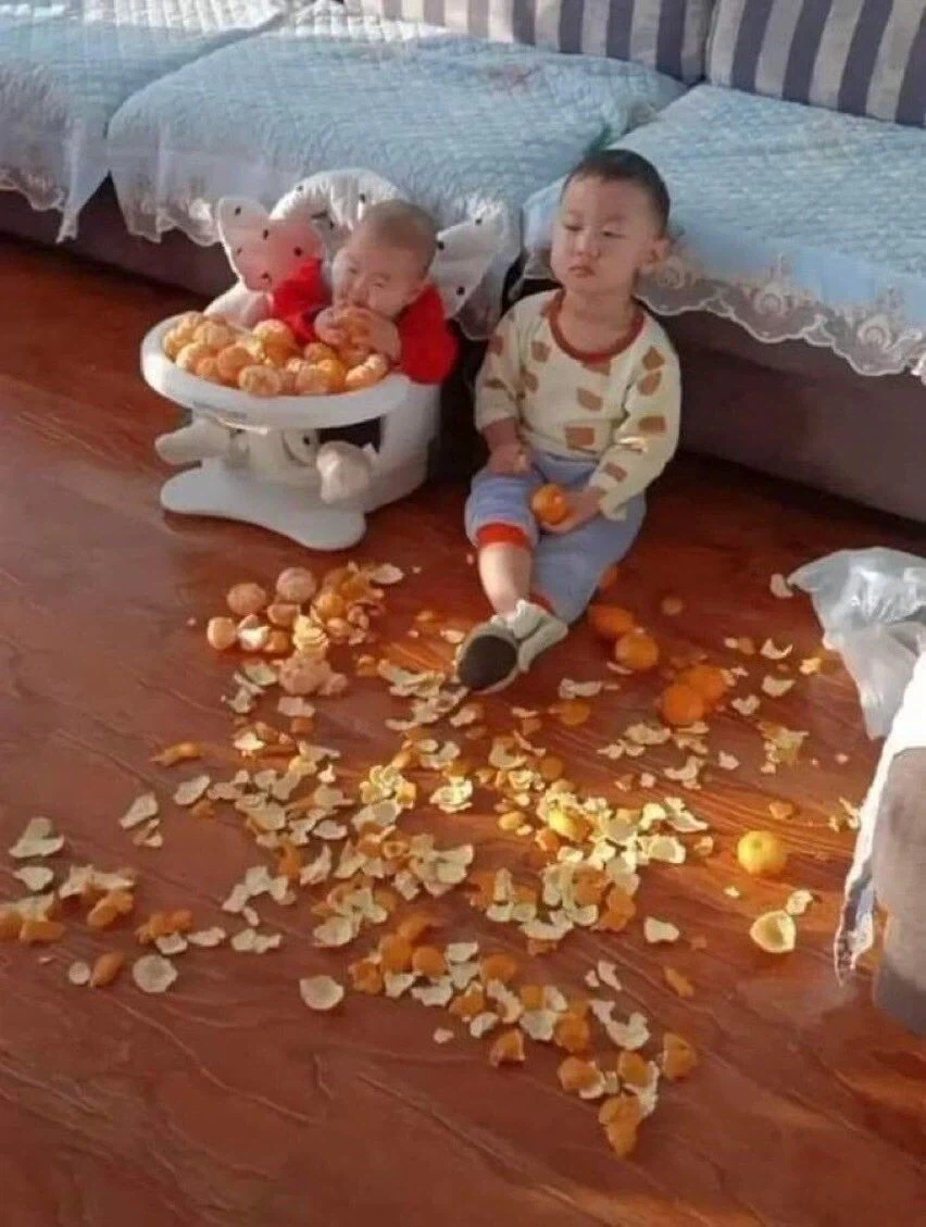 부모입장에서 웃음만 나오는 짤_1.webp