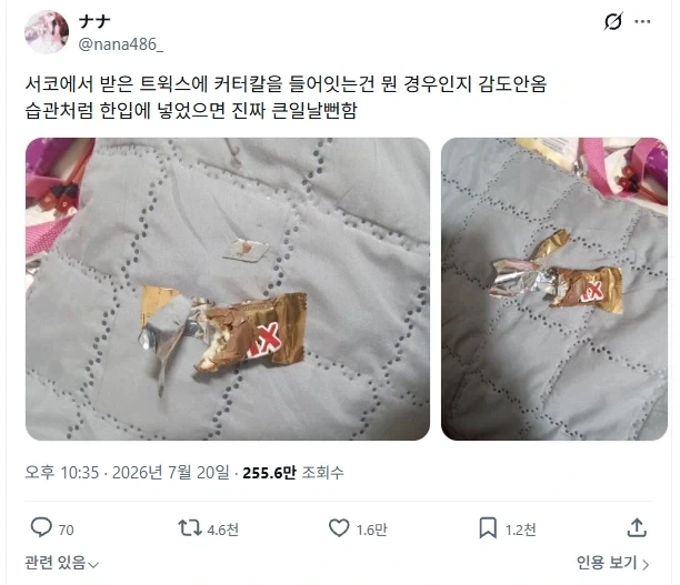 서코 열릴 때마다 꼭 한번씩 튀어나온다는 무리_1.webp