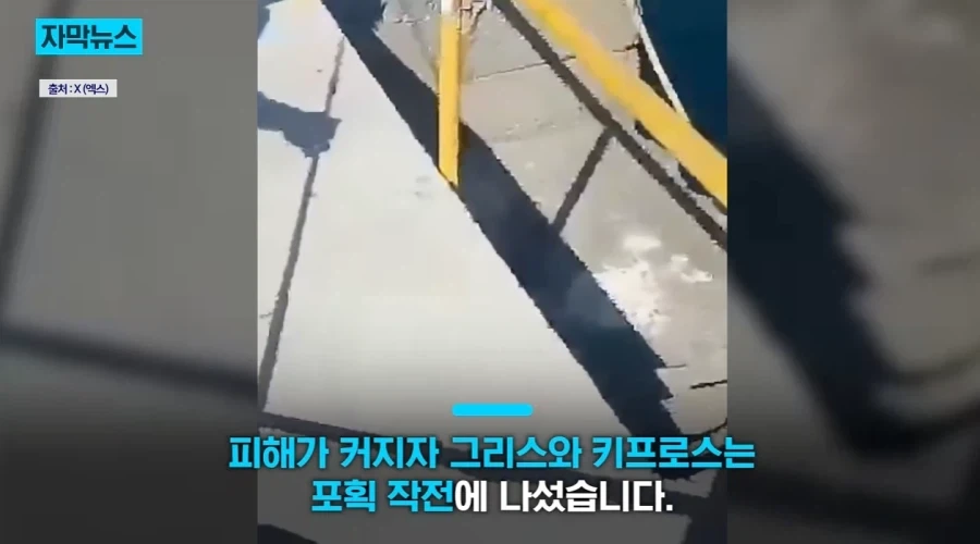 지중해에서 골치덩이라는 괴물물고기.jpg_14.webp