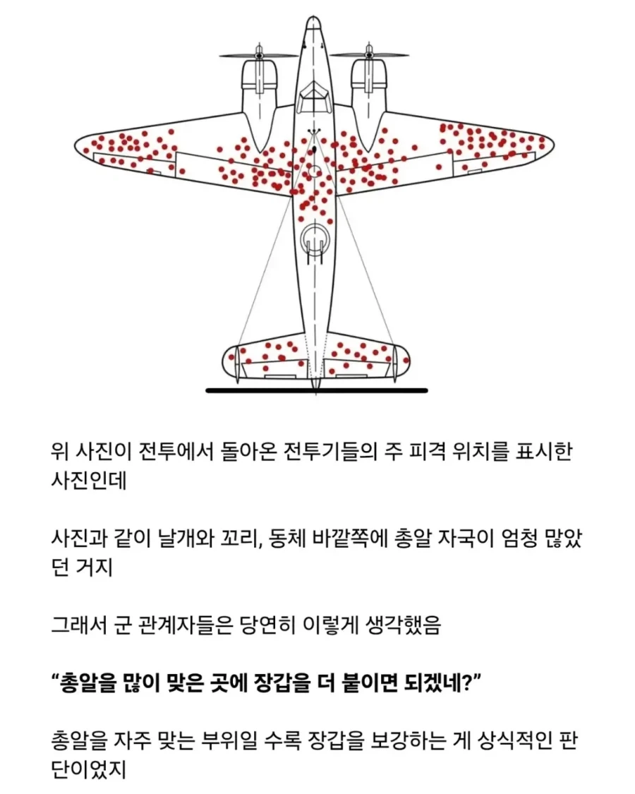생존자 편향이란 무엇인지 알아보자.jpg_3.webp