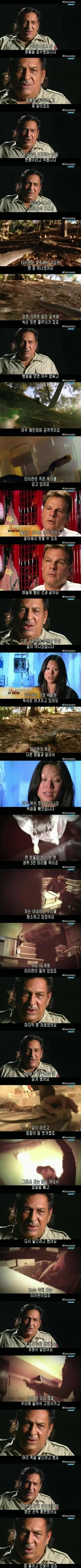 [극혐] 최악의 날에 뱀한테 물려서 죽을뻔한 사람.jpg_1.webp