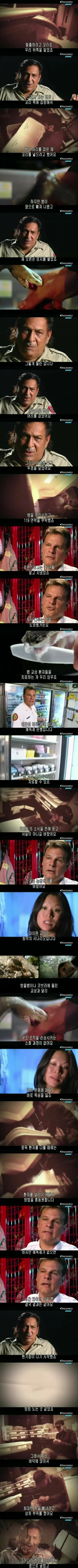 [극혐] 최악의 날에 뱀한테 물려서 죽을뻔한 사람.jpg_2.jpg