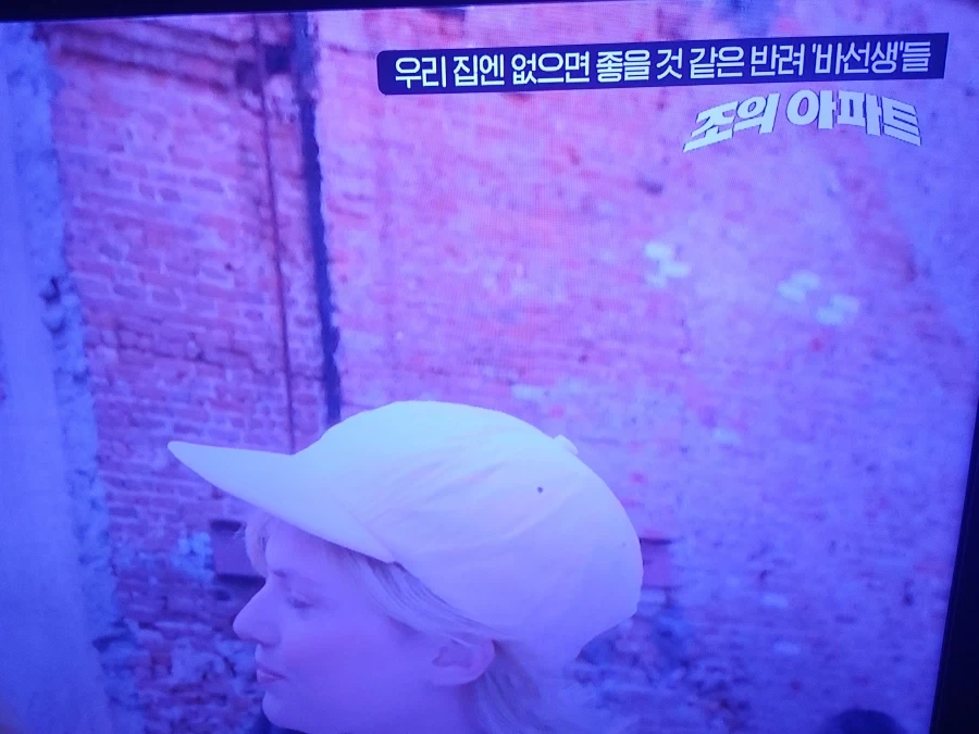 ocn에서 재밌는 영화 하네_1.webp