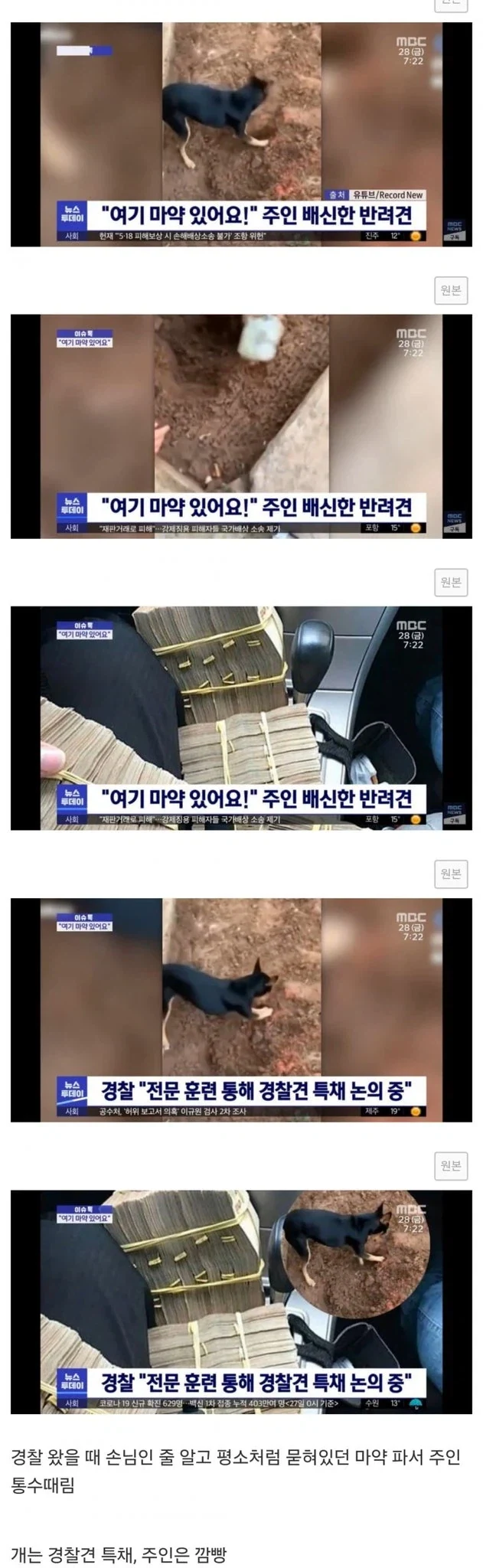 주인 통수 치고 짭새한테 붙은 반려견_1.webp