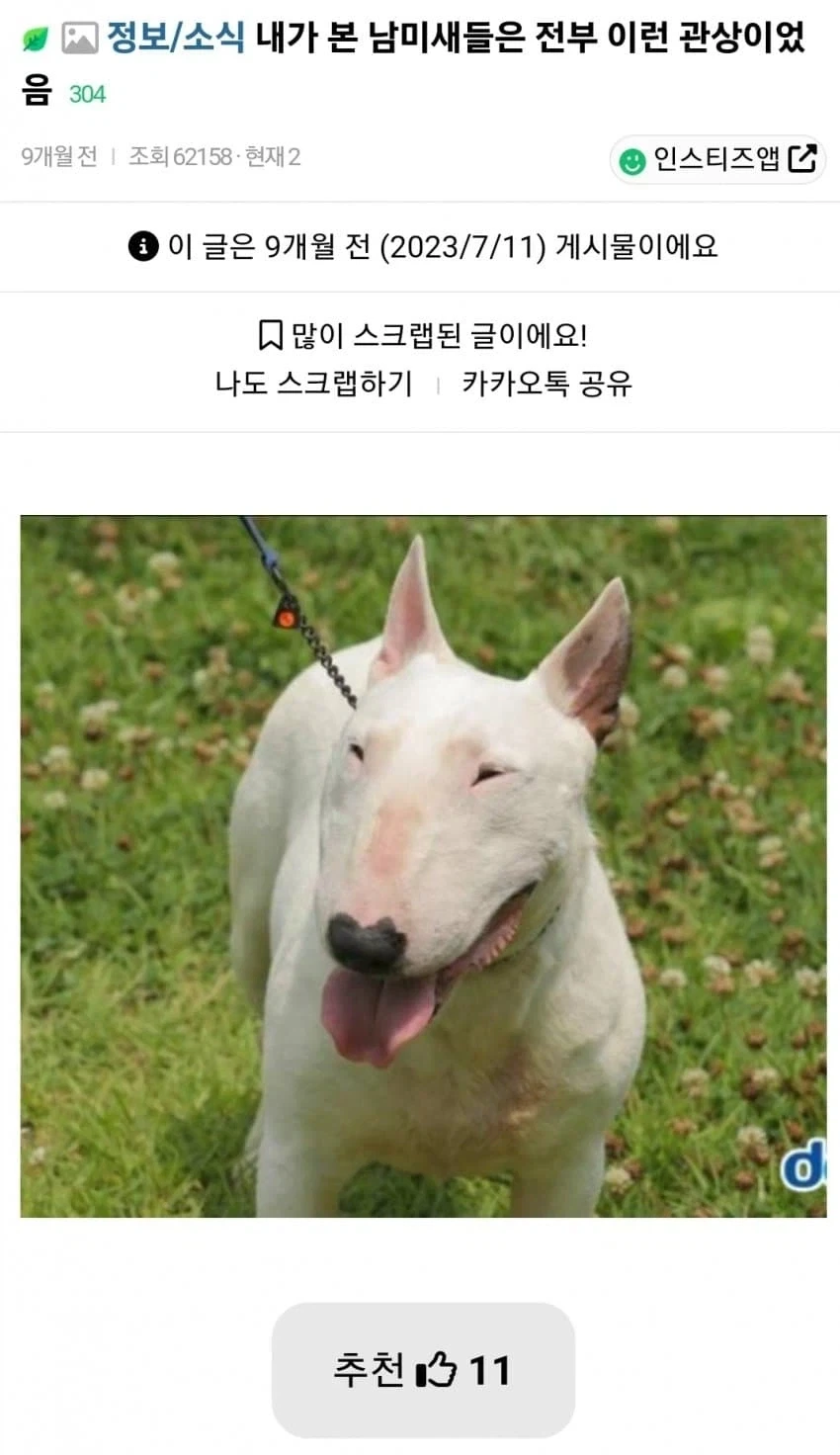재미로 보는 남미새, 여미새 관상_1.webp