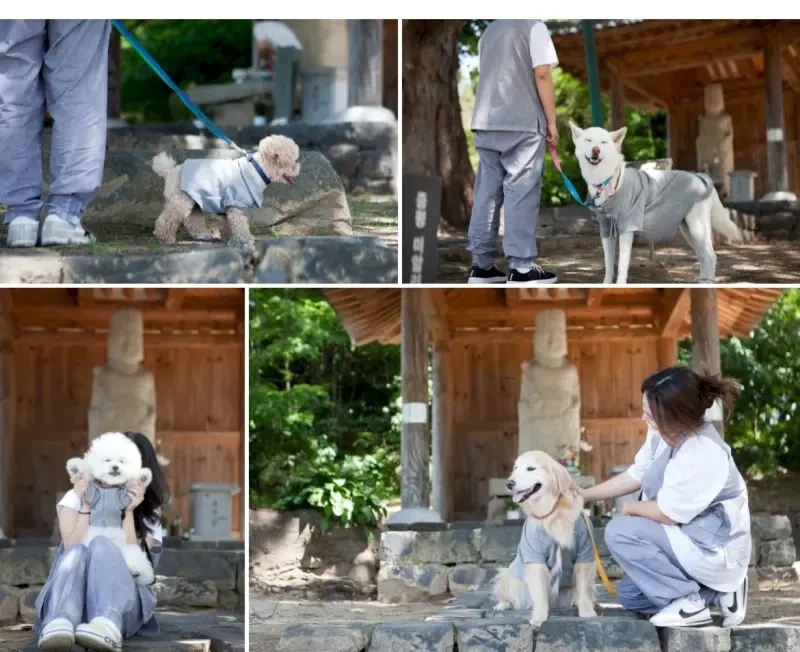 불교 견주들 사이 핫하다는 댕플스테이.jpg_6.webp