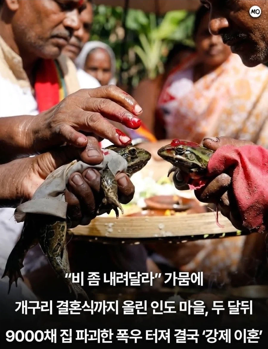비 좀 내려주세요.jpg_1.webp