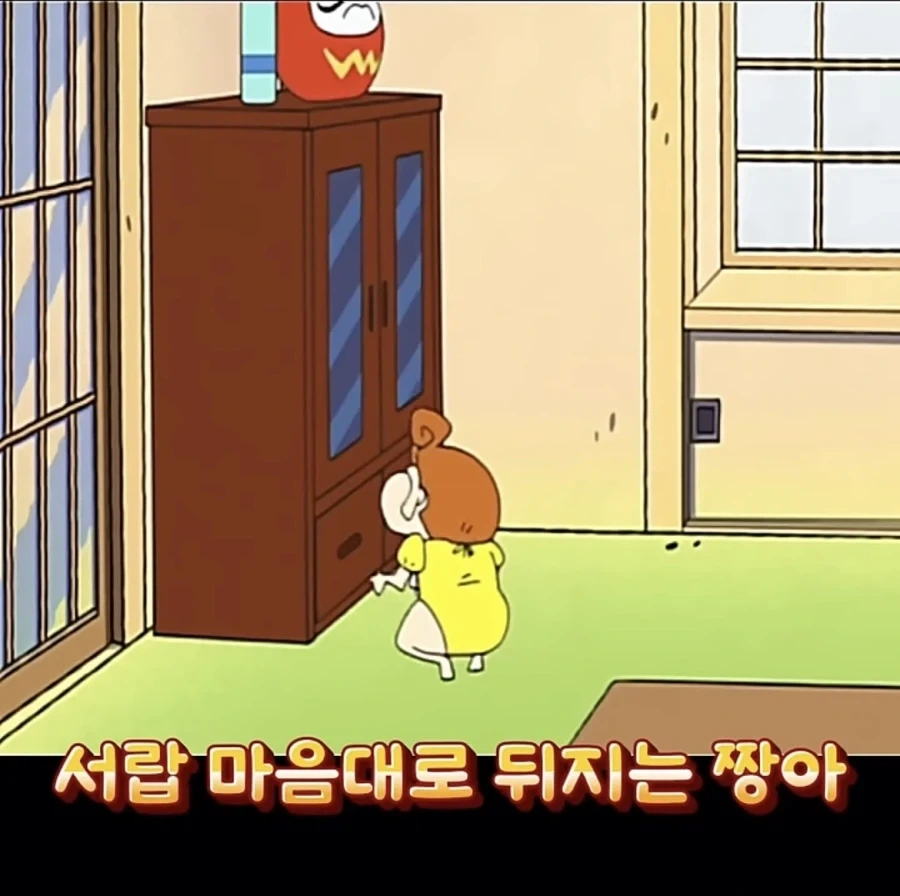 짱아가 보통내기가 아닌 이유_1.webp