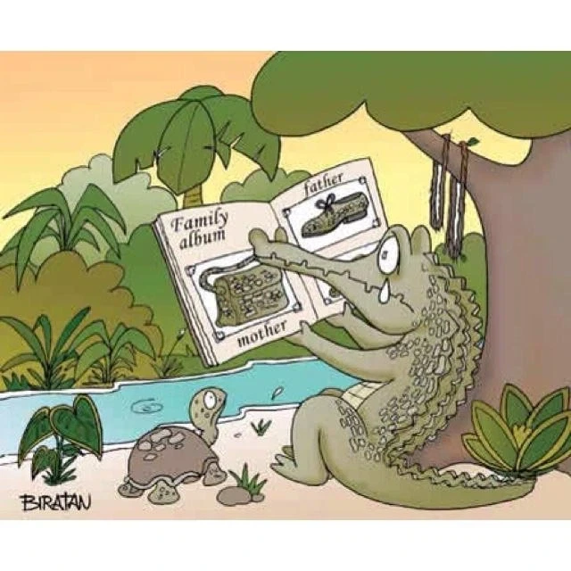 가족사진을 보는 악어_1.webp