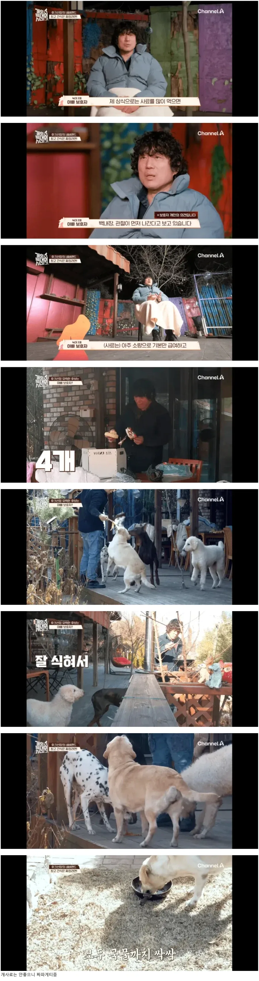개 사료는 몸에 안좋다는 견주_1.webp