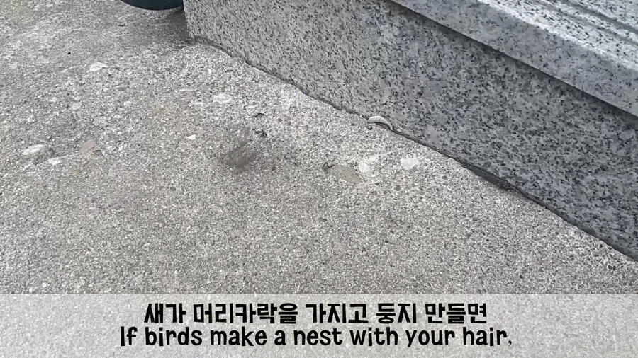 미국인들이 믿는 미신들_4.jpg