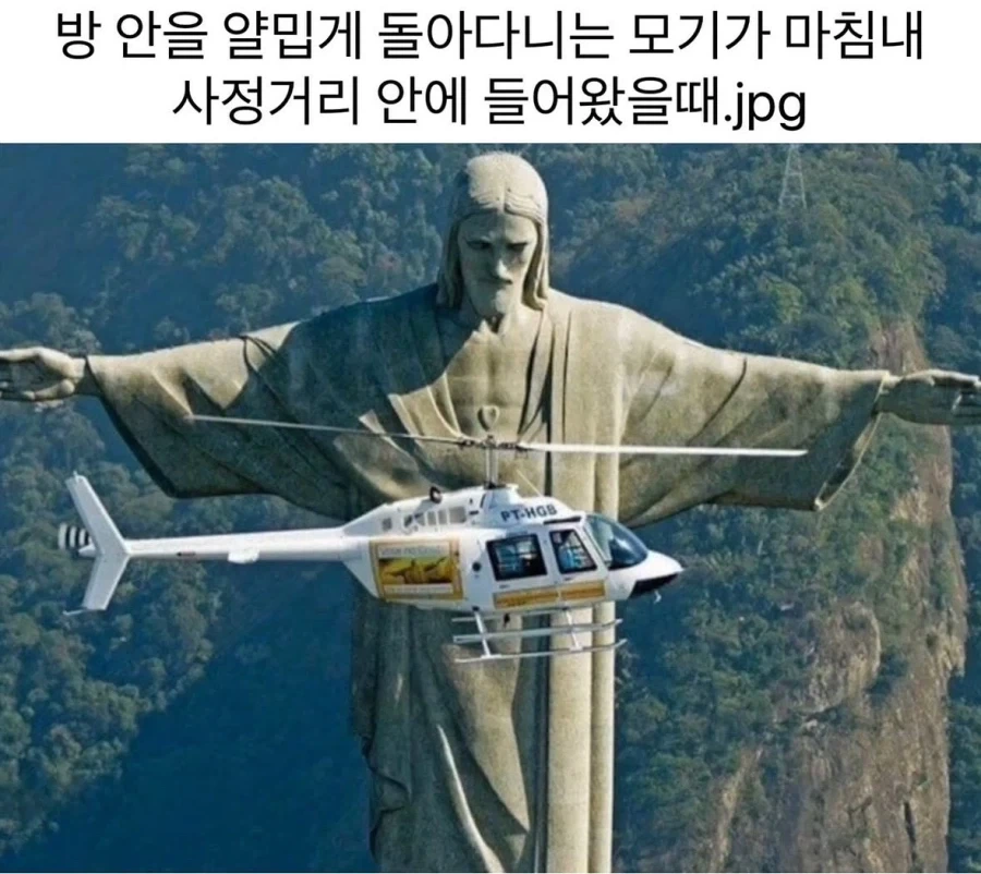 모기가 사정거리에 들어왔을 때.JPG_1.webp