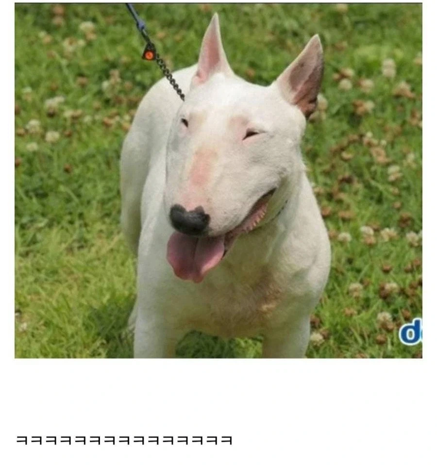 대학교 들어가면 바로 보이는 여미새 관상.jpg_1.webp