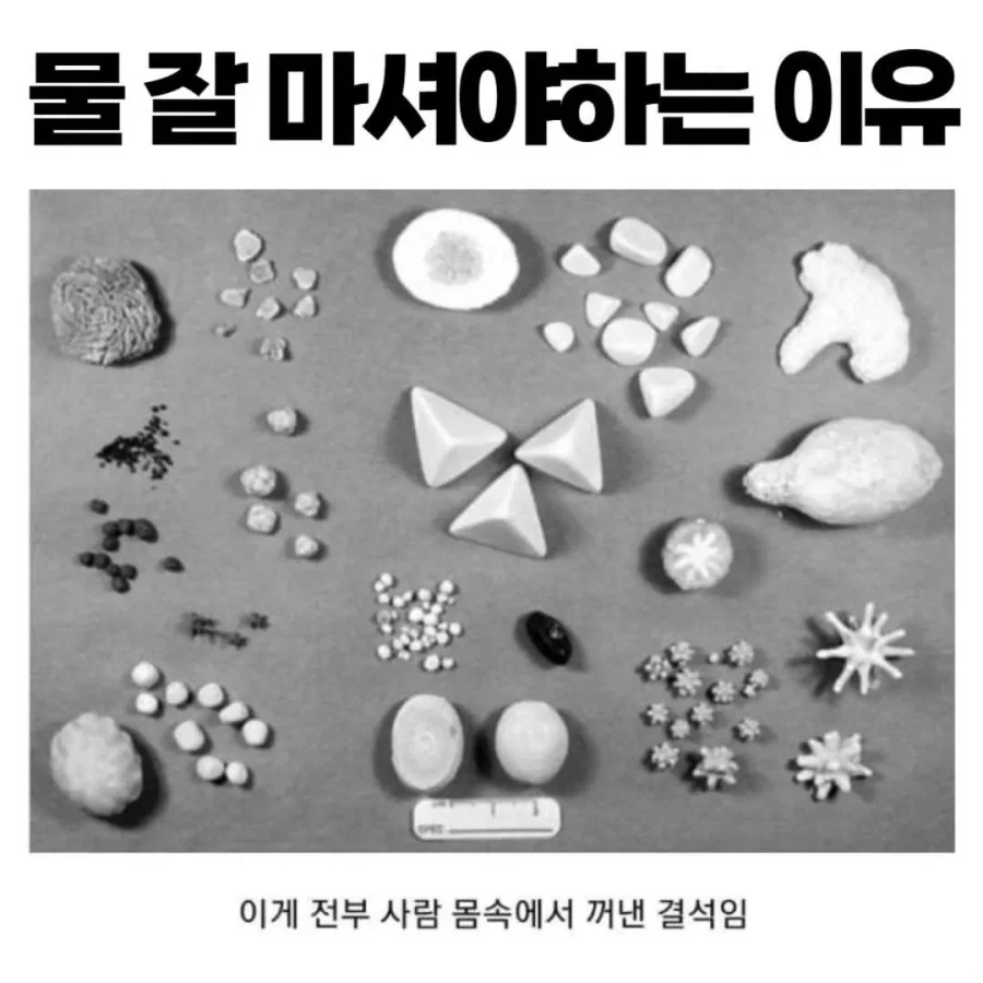 물 잘 마셔야 하는 이유_1.webp