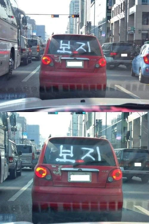 포르자 보지카_3.webp