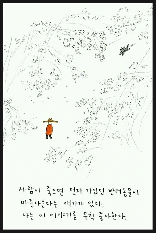 manga_1256951_001.webp
