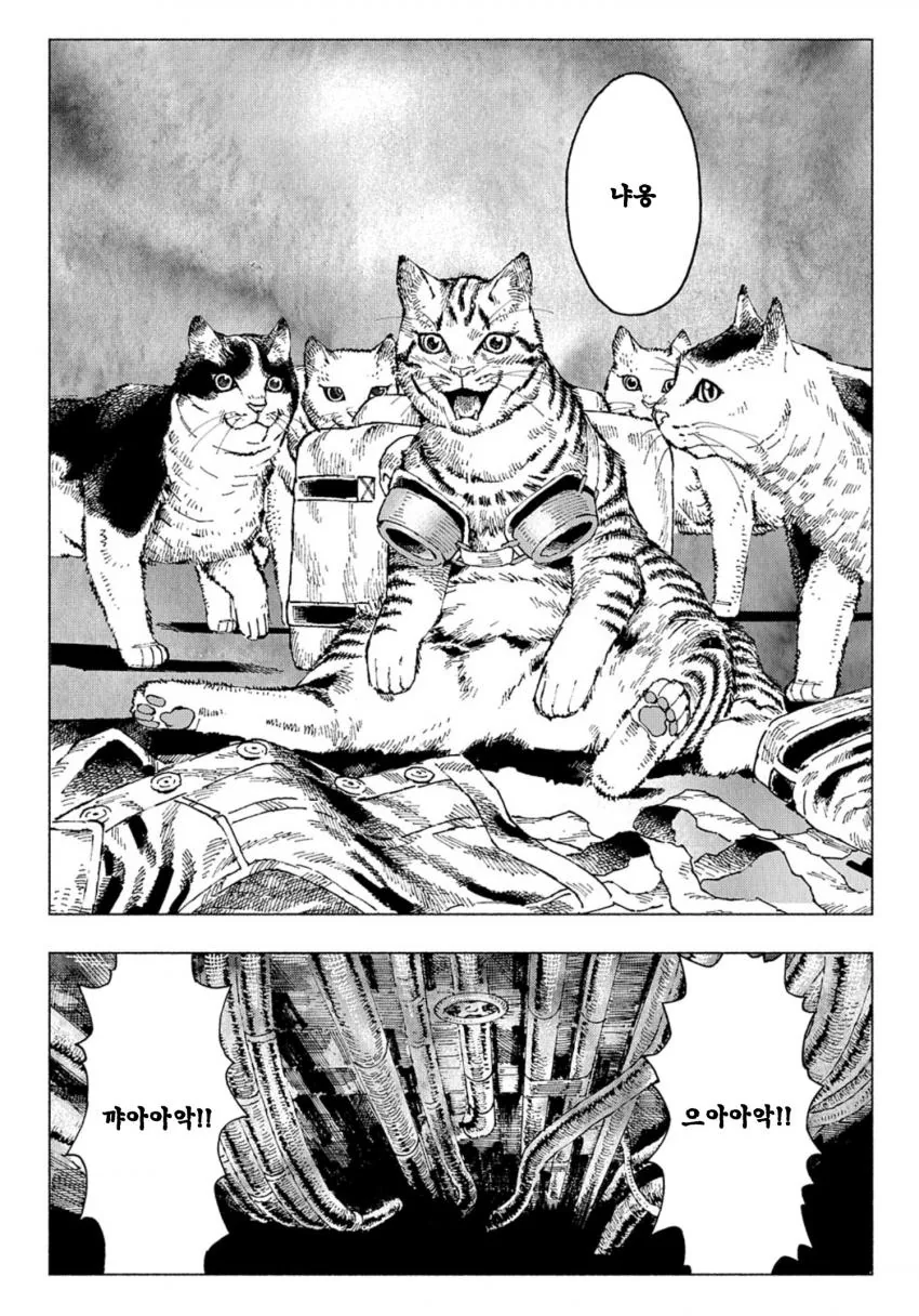manga_2362593_006.webp