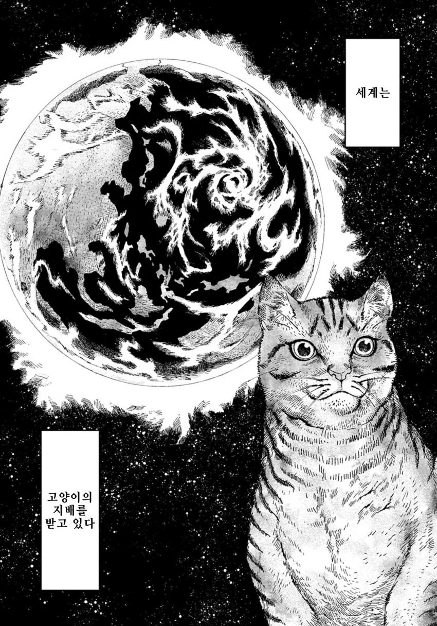 manga_2362593_007.webp