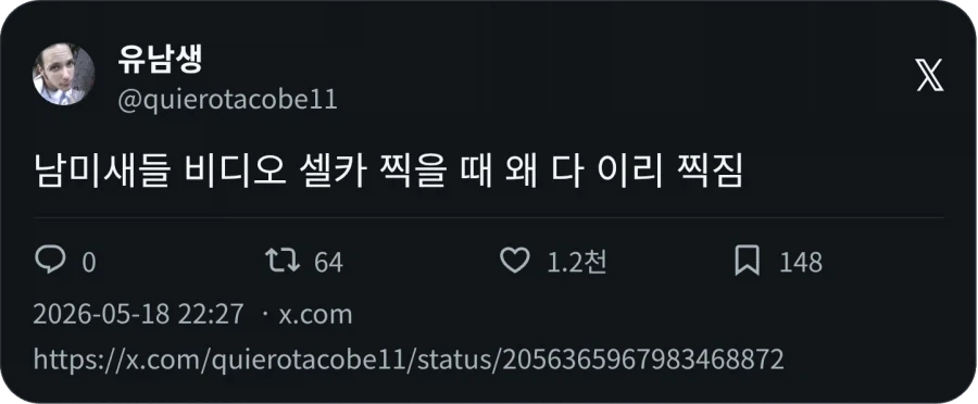 남미새_1.webp