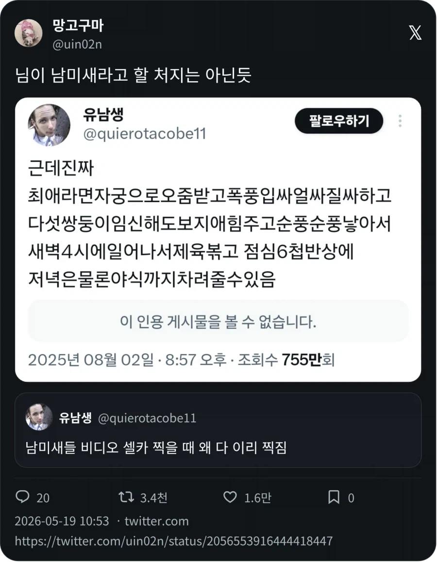 남미새_2.webp