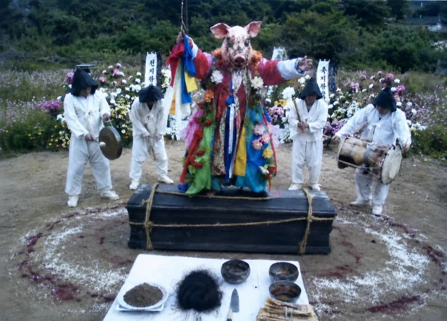 한국인들은 별로 안무서워하는데 외국인들은 기겁하는 사진들.jpg_5.webp