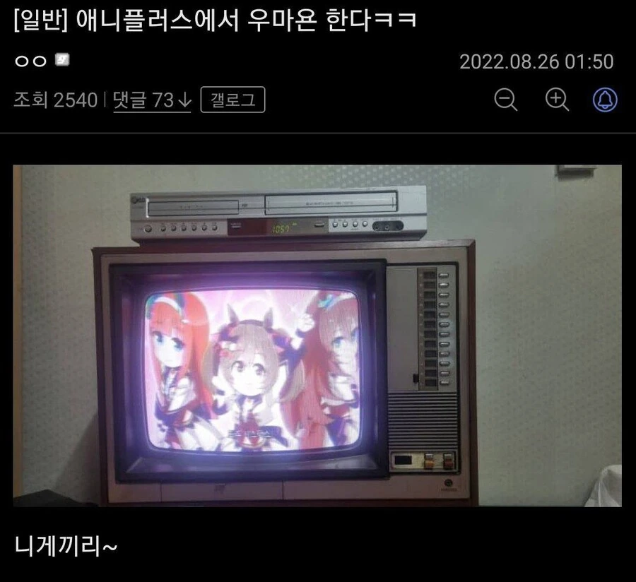 잔혹한 노인학대 현장_1.jpg