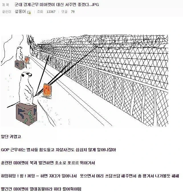 경계근무 미어캣이 대신 서줬으면 좋겠다.jpg_2.webp