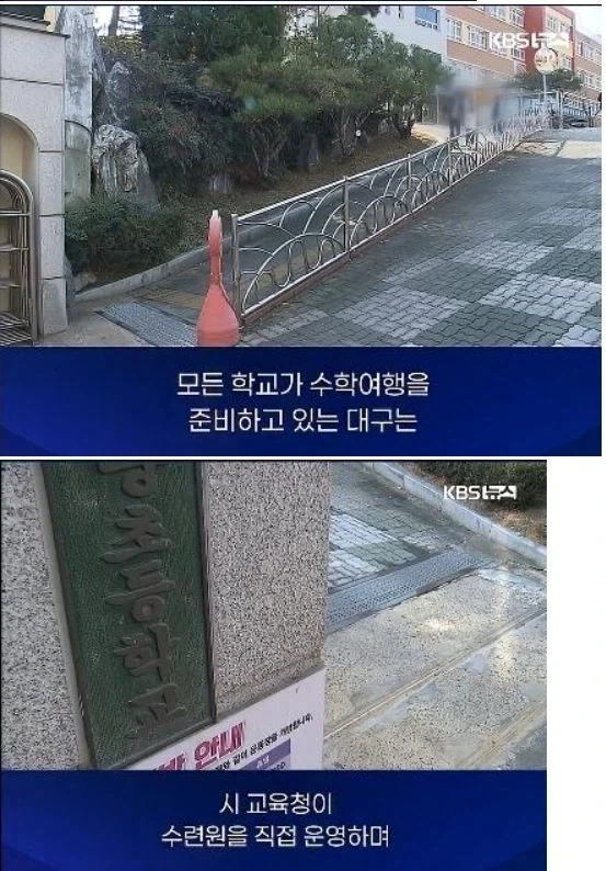 전국 초등학교 수학여행 실시 예정 비율 .jpg_3.webp