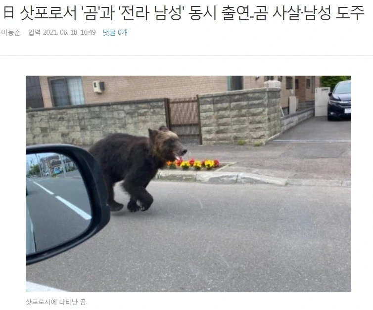 일본판 정글북_1.webp