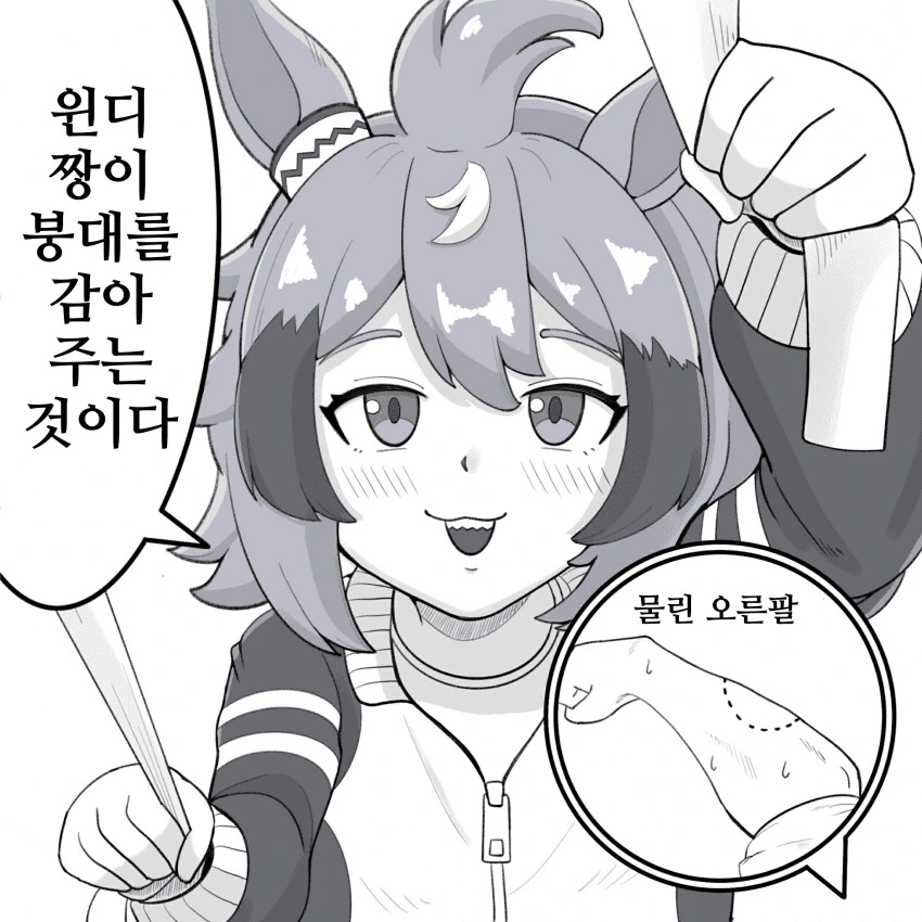 manga_2527288_017.webp