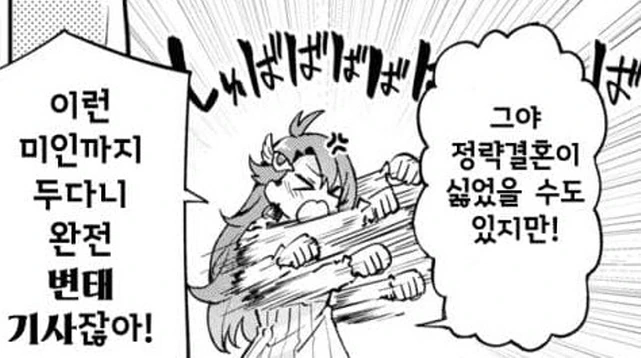 첫날밤이 필요없다는 흑기사 만화_14.jpg
