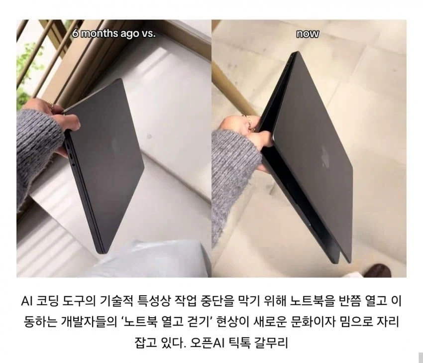 트렌-디한 개발자들 채신 유행_1.webp