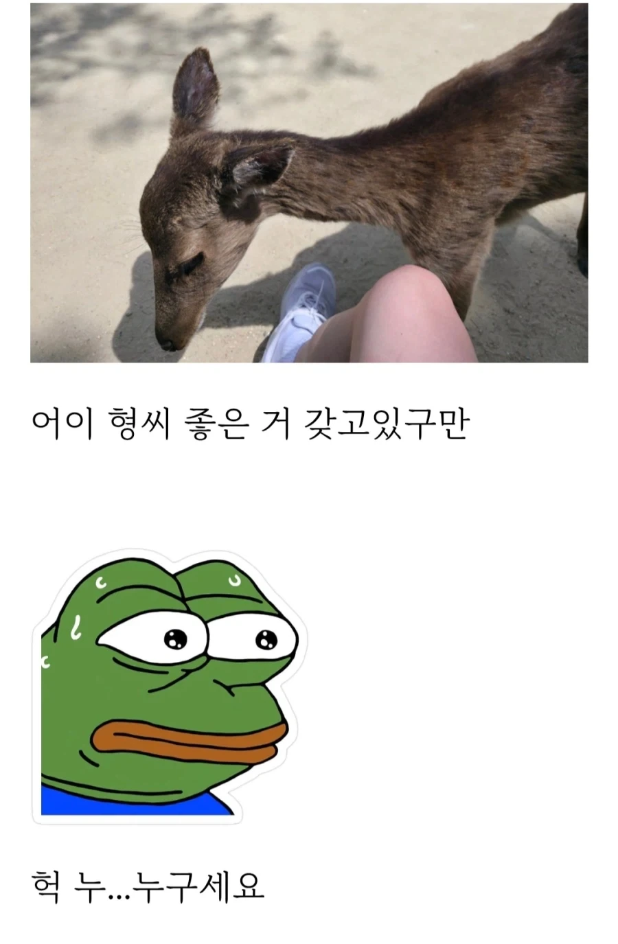 히로시마 갔다가 봉변당한 사람_4.webp