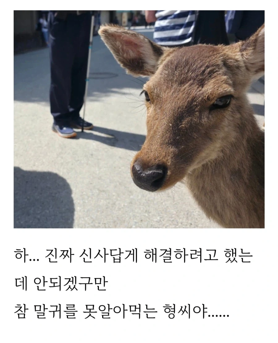 히로시마 갔다가 봉변당한 사람_8.webp