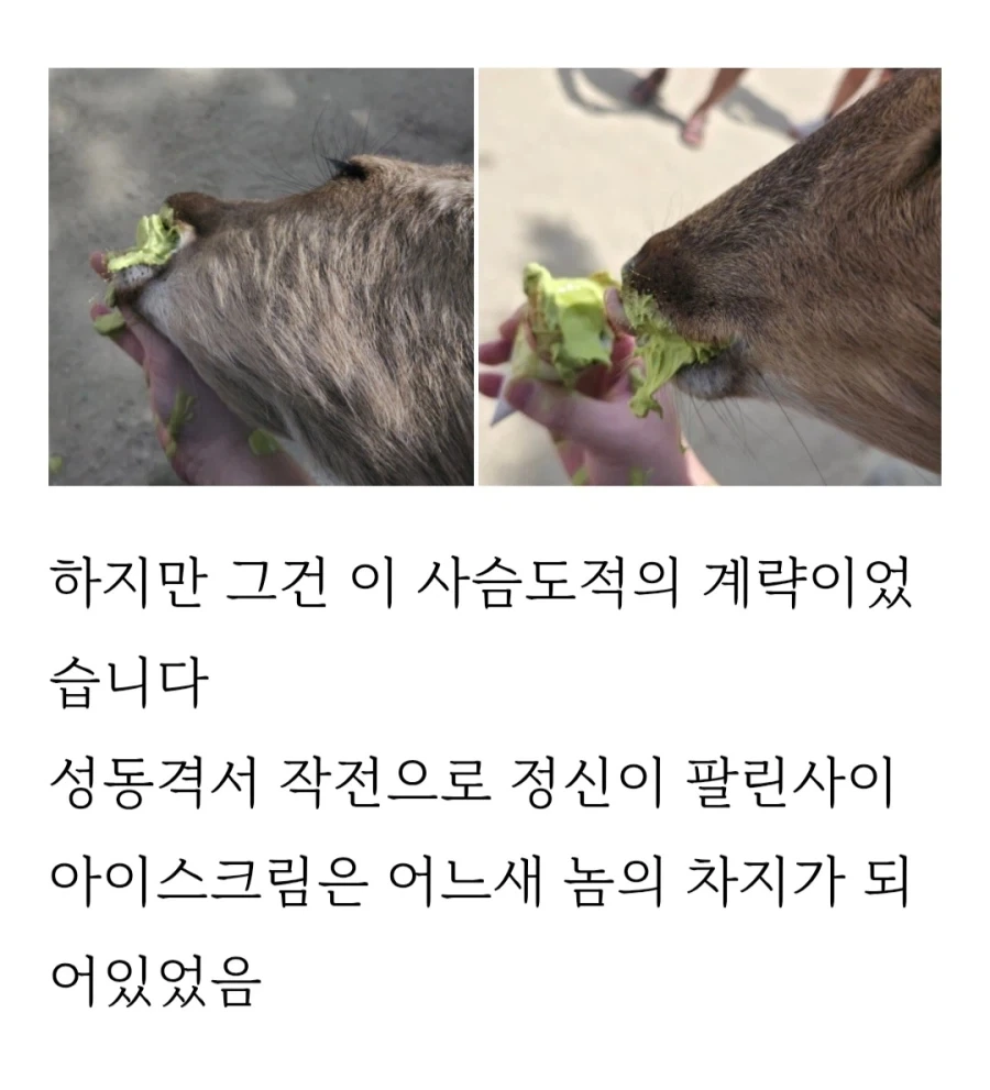 히로시마 갔다가 봉변당한 사람_11.webp