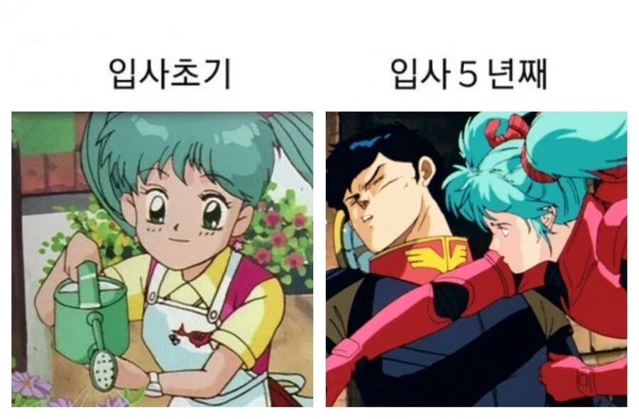 입사한지 5년이 되면_1.webp