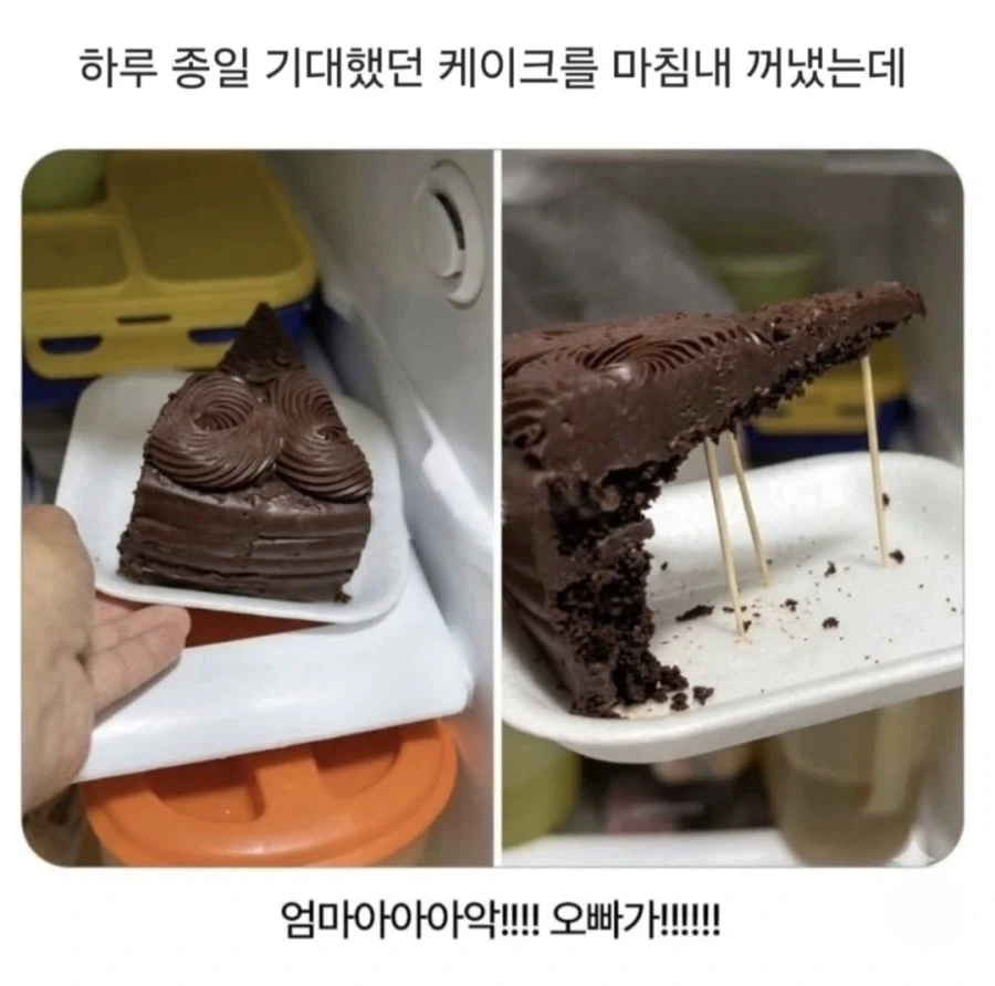 정성 갸륵하게 동생 케잌을 멕이는 오빠_1.webp