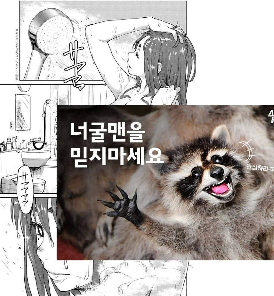 manga_2754761_022.webp