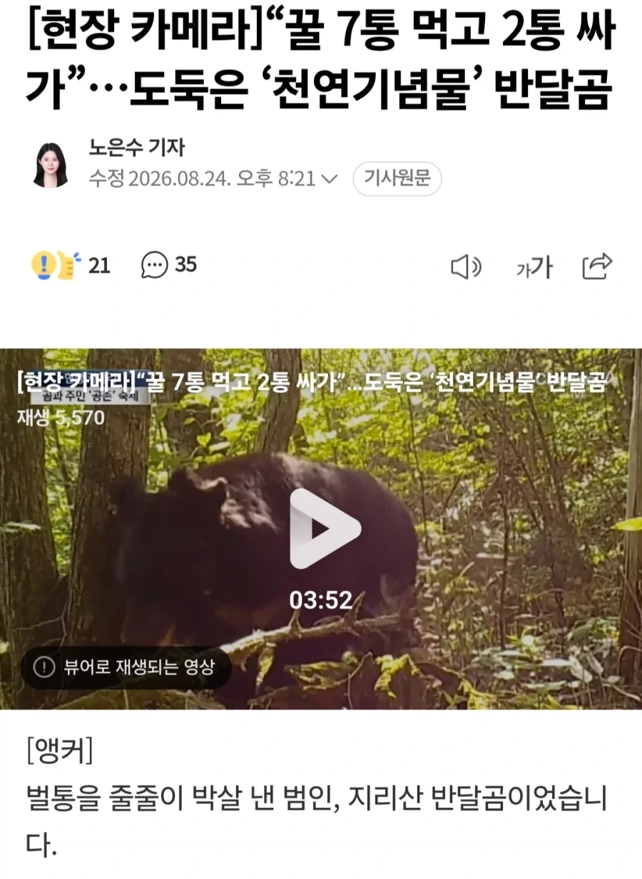 꿀통 7개 훔쳐먹고 2개는 따로 포장해간 범인 정체_1.webp