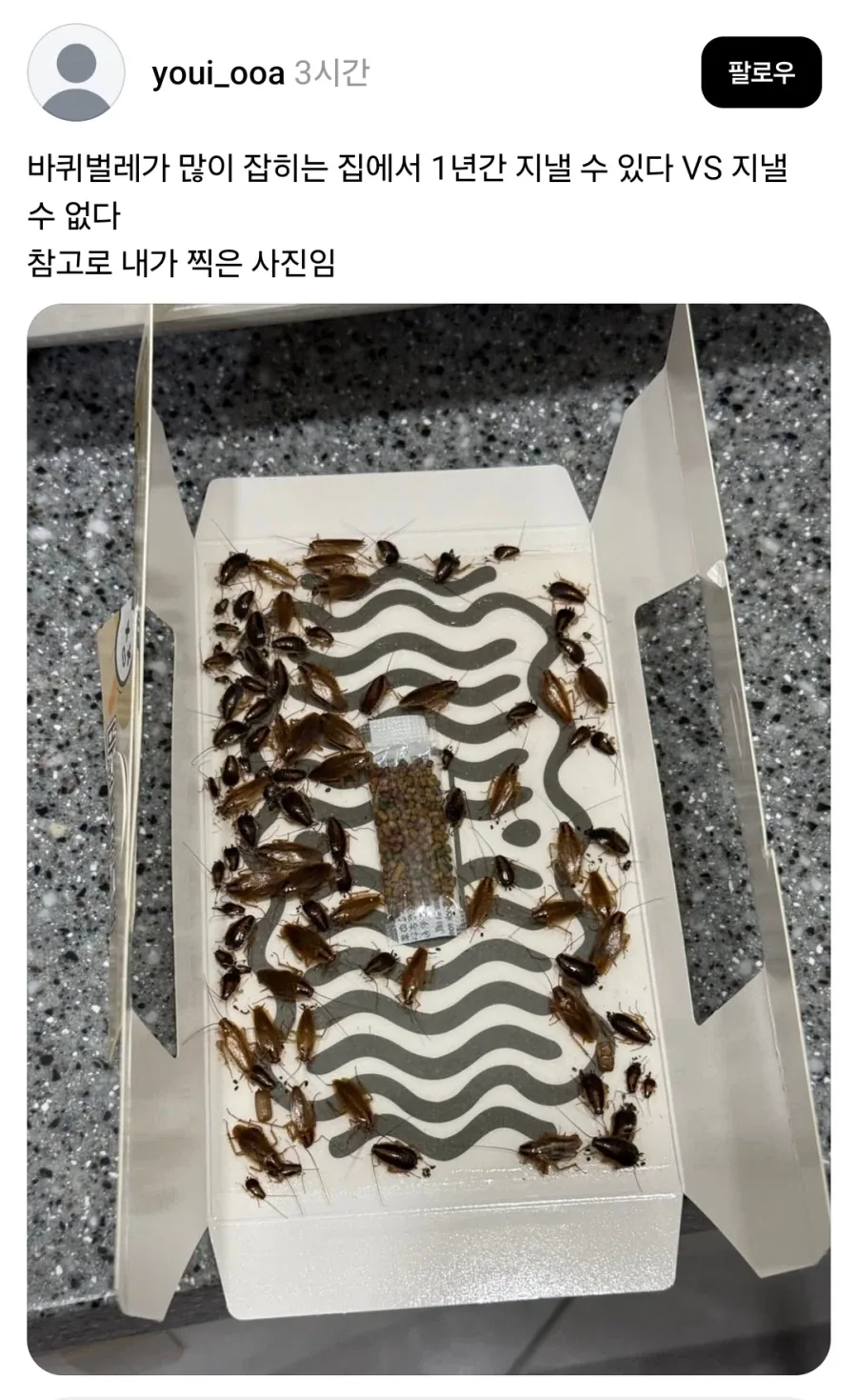혐) 이정도 바퀴 나오는 집에서 살수있다 없다.jpg_2.webp