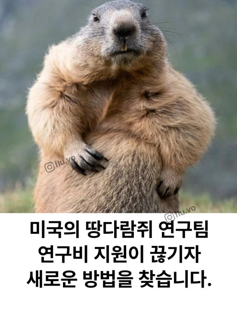 돈 떨어지자 온리팬스를 시작..._1.webp