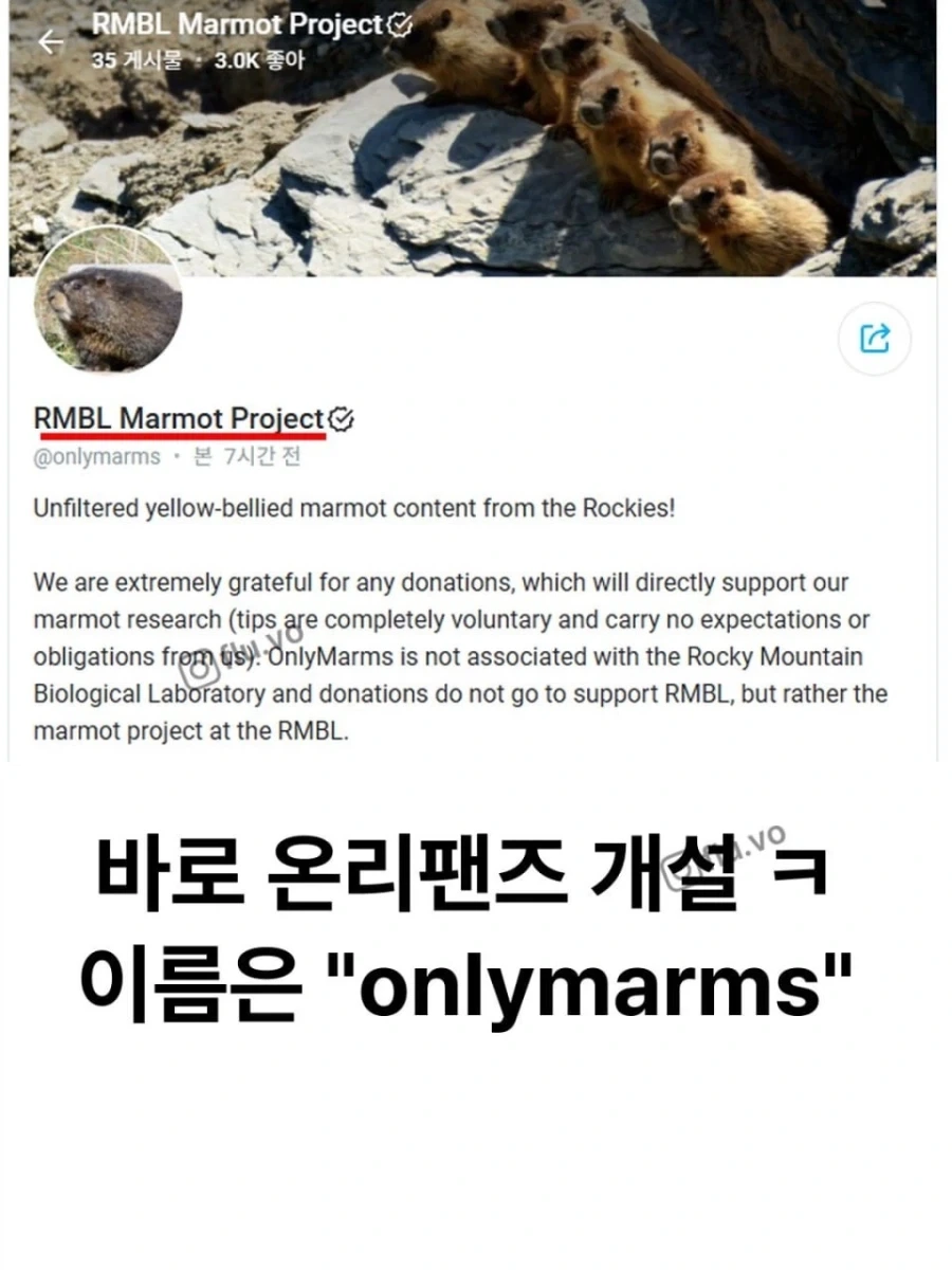 돈 떨어지자 온리팬스를 시작..._2.webp