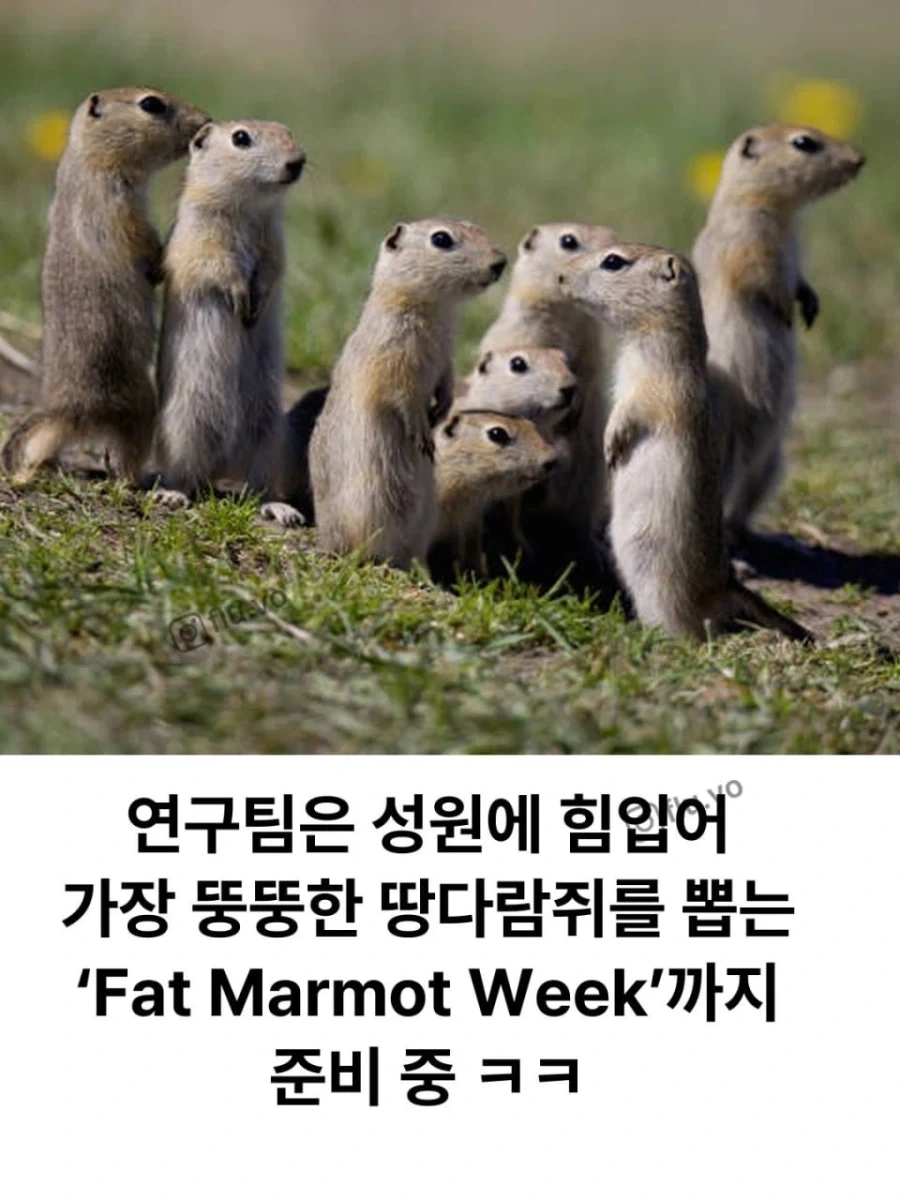 돈 떨어지자 온리팬스를 시작..._4.webp