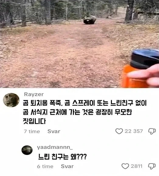 곰 서식지에 가야 할 때 지참해야 하는 거!_1.webp