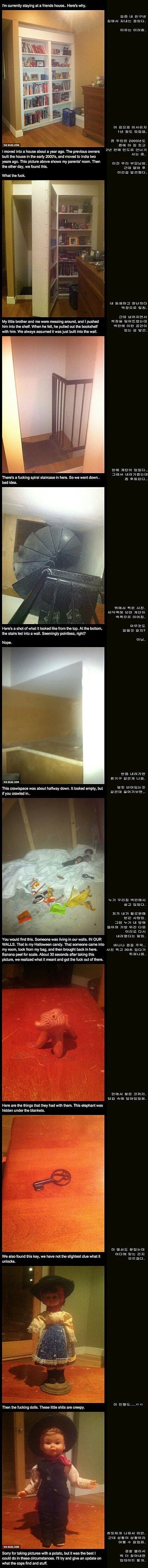 이사온 집에서 지하실을 발견했다_1.webp