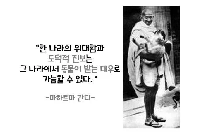 간디가 말한 위대한 나라_1.webp