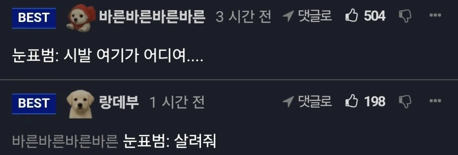 에베레스트 5,500m에서 발견된 눈표범_7.webp