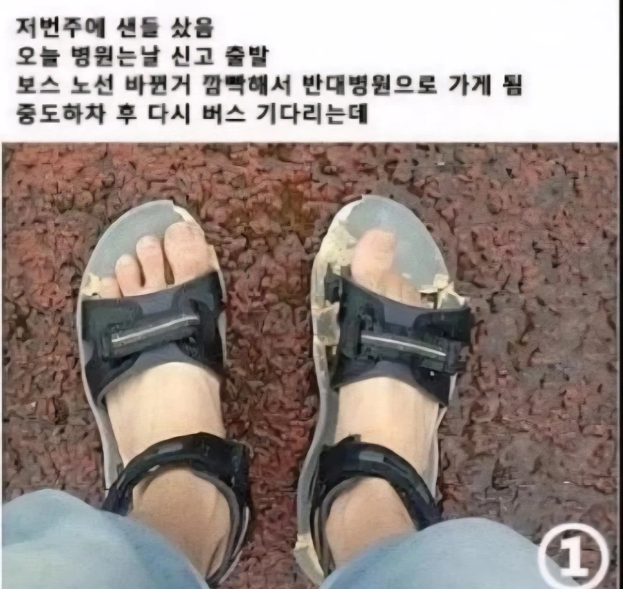 샌들의 진화_1.webp